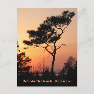 Sunset Rehoboth Postcard