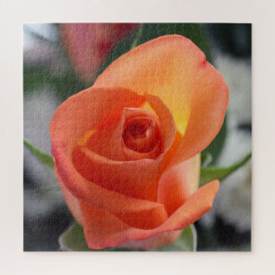 Sunset Rose Jigsaw Puzzle