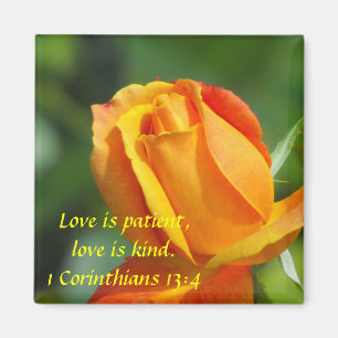 Sunset Rose - Love Magnet