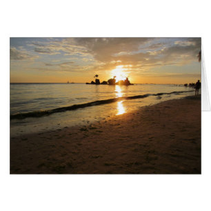 sunset sands