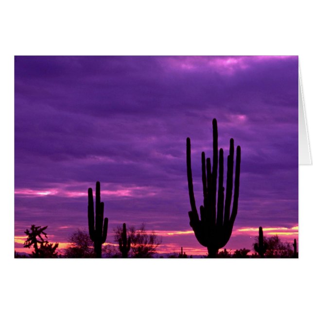 Sunset, Scottsdale, Arizona (Devant horizontal)