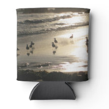 Sunset seagulls