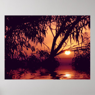 Sunset Silhouette Habitat Poster
