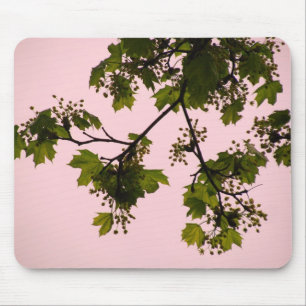 Sunset Silhouette Mousepad