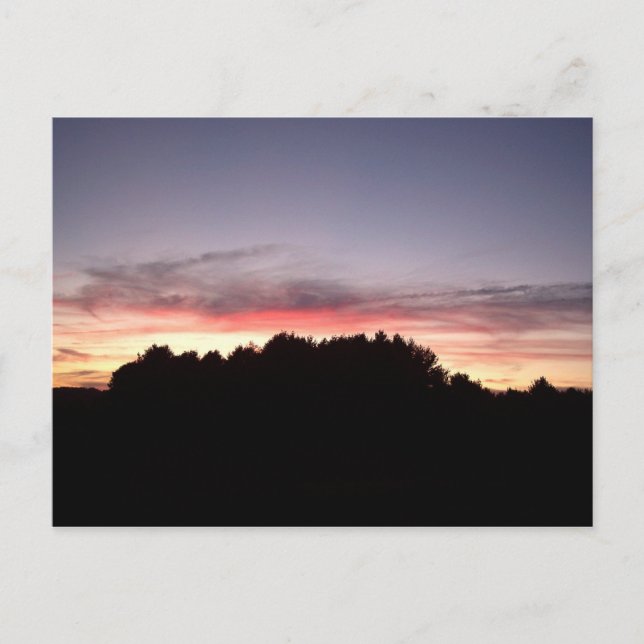 Sunset Silhouette Postcard (Front)