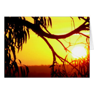 Sunset Silhouette Views Card