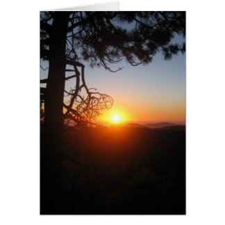 sunset silouettes 2