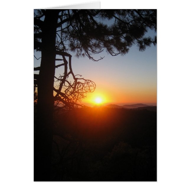 sunset silouettes 2 (Front)