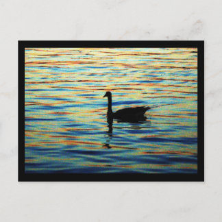 sunset sitdown postcard