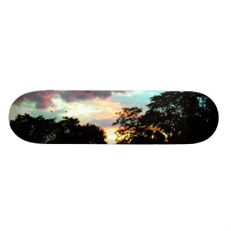 SUNSET SKATEBOARD