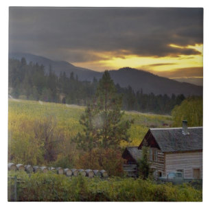 Sunset sky over vineyards and historic log cabin tile