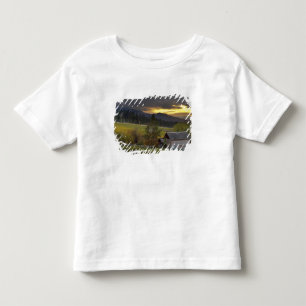 Sunset sky over vineyards and historic log cabin toddler t-shirt