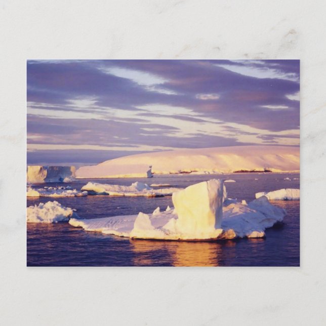 Sunset Sound, carte postale (Devant)