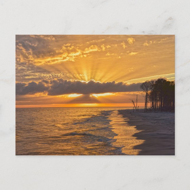 Sunset Sunbeams on Dauphin Island, Alabama Postcard (Front)