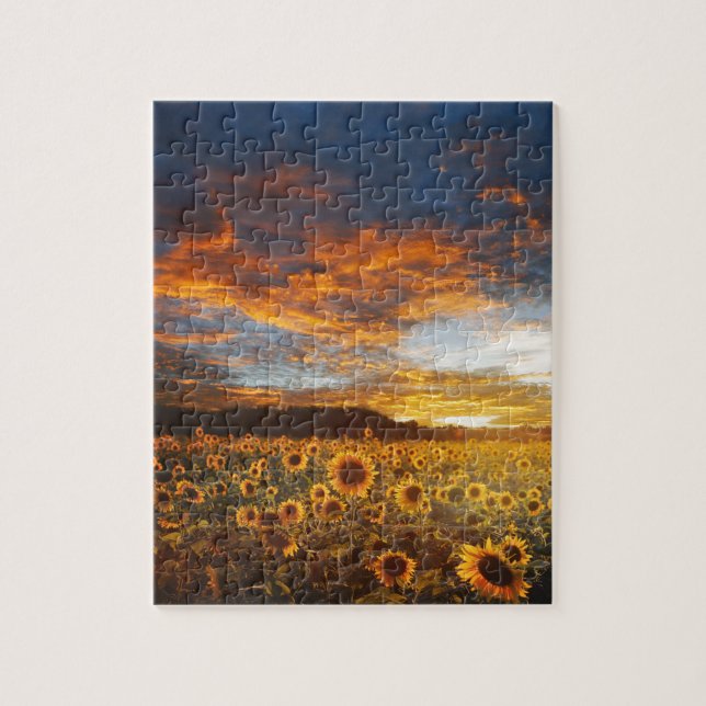 Sunset SunflowersField Jigsaw Puzzle (Vertical)