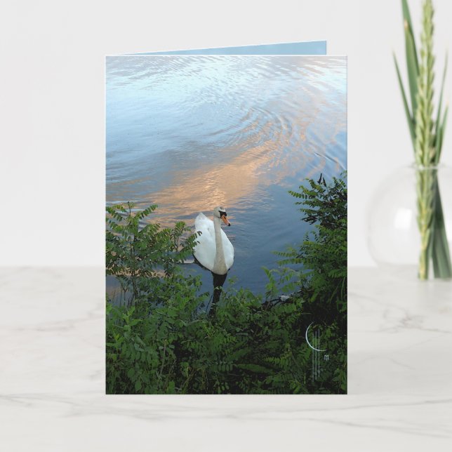 Sunset Swan Card (Front)