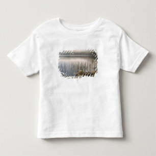 Sunset through fog over Upper Hadlock Pond Toddler T-shirt