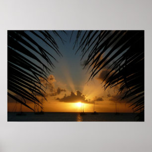 Sunset Through Palm Fronds Tropical Seascape Poster
