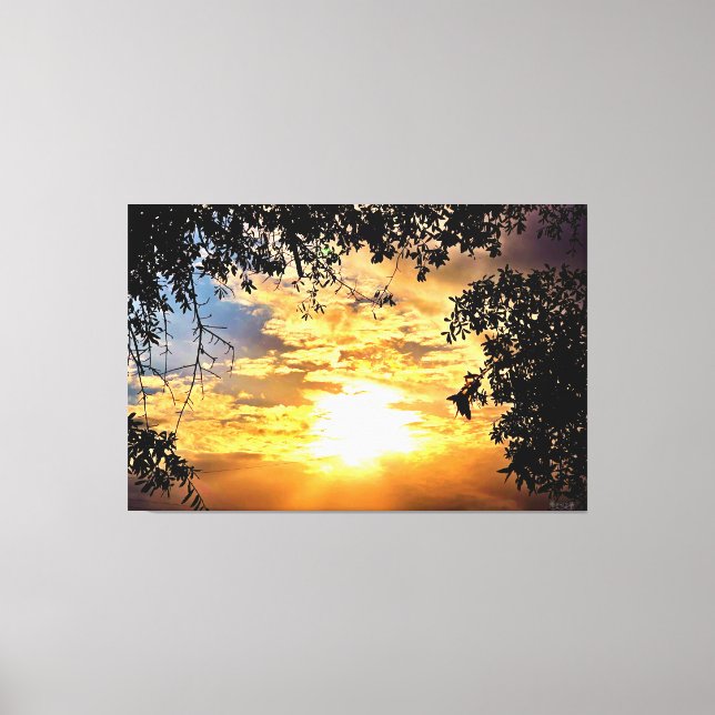 Sunset Through Silhouetted Leaves Canvas Print (Front)