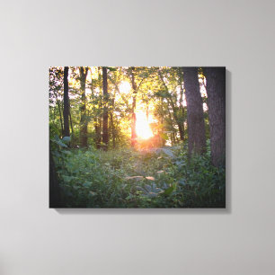 Sunset through the trees canvas print