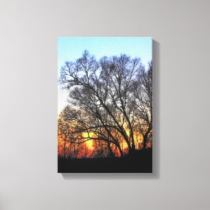 Sunset Through The Trees Canvas Print