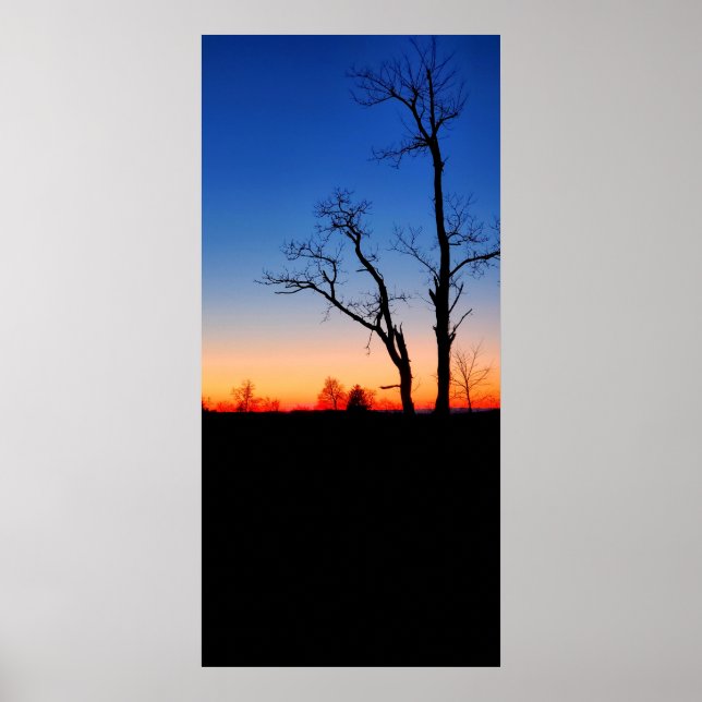 Sunset Through the Trees Poster (Front)