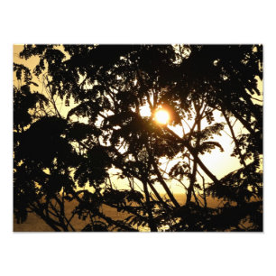 Sunset Through Trees I Tropical Photography Photo Print