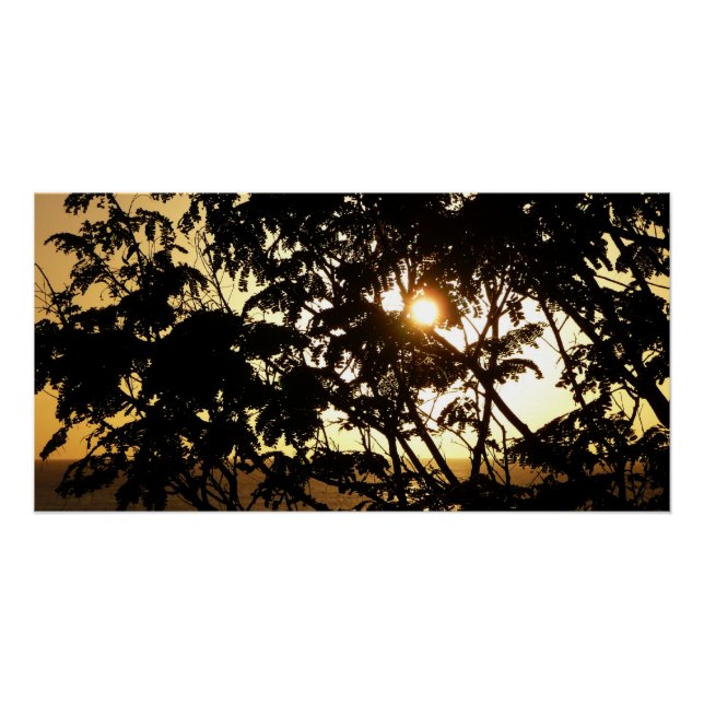 Sunset Through Trees I Tropical Photography Poster (Front)