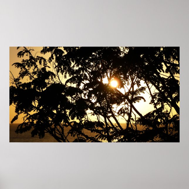 Sunset Through Trees I Tropical Photography Poster (Front)