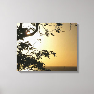 Sunset Through Trees II Tropical Photography Canvas Print