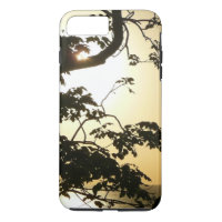 Sunset Through Trees II Tropical Photography
