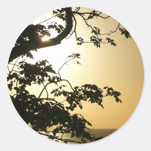 Sunset Through Trees II Tropical Photography Classic Round Sticker (Front)
