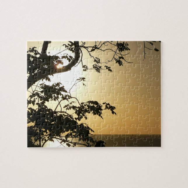 Sunset Through Trees II Tropical Photography Jigsaw Puzzle (Horizontal)