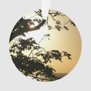 Sunset Through Trees II Tropical Photography Ornament
