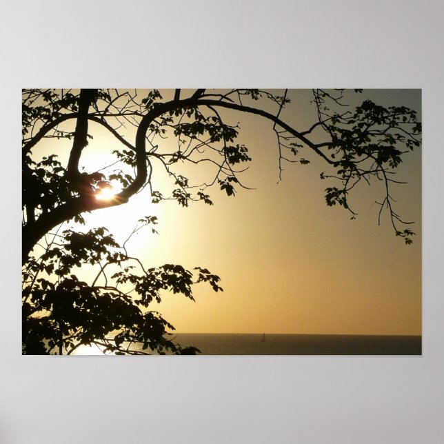 Sunset Through Trees II Tropical Photography Poster (Front)