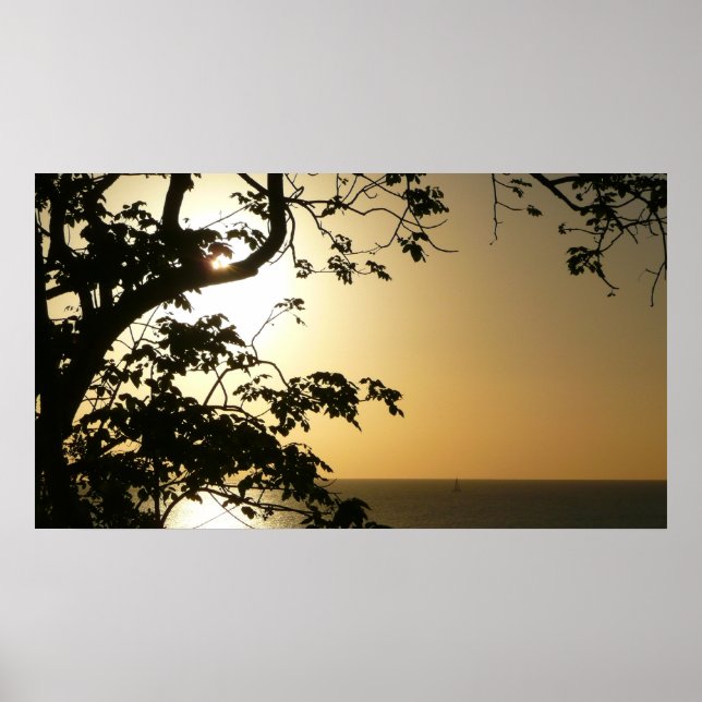 Sunset Through Trees II Tropical Photography Poster (Front)
