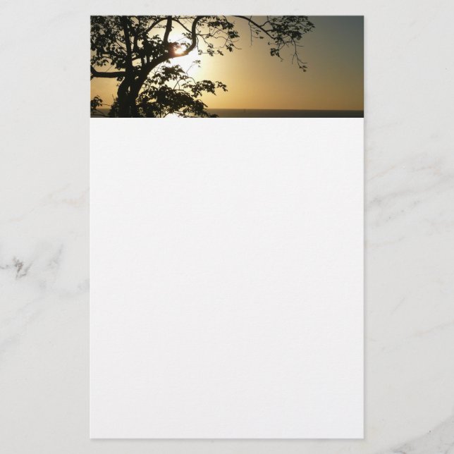 Sunset Through Trees II Tropical Photography Stationery (Front)