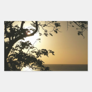 Sunset Through Trees II Tropical Photography Sticker