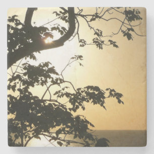 Sunset Through Trees II Tropical Photography Stone Coaster