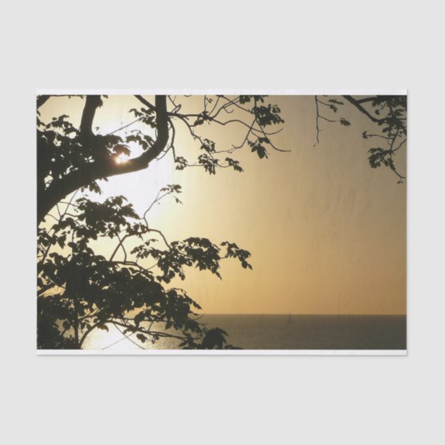 Sunset Through Trees II Tropical Photography Tissue Paper (Front)