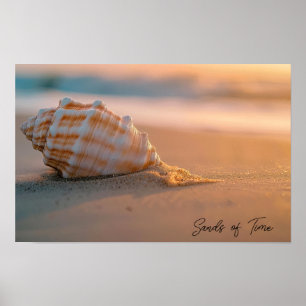 Sunset Tide: Shell on the Shoreline Poster