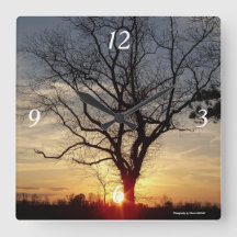 Sunset tree clock