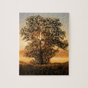 Sunset Tree Puzzle