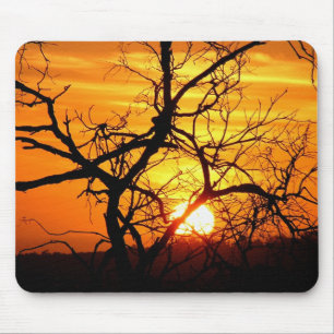 Sunset Tree Silhouette Mousepads