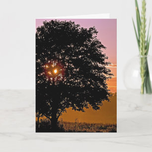 Sunset Tree Sympathy Card