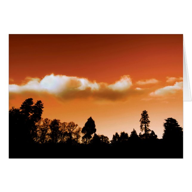Sunset trees (Front Horizontal)