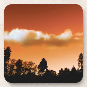 Sunset trees coaster