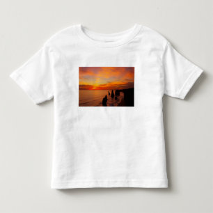 Sunset, Twelve Apostles, Port Campbell National Toddler T-shirt