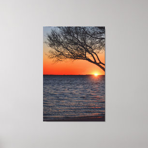 Sunset Under Tree Wrapped Canvas