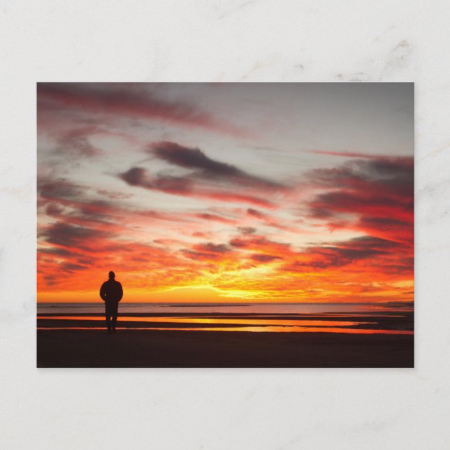 Sunset Walk Postcard (Front)